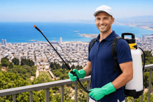 מדביר בחיפה