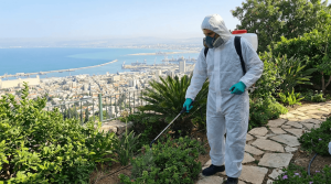 מדביר מוסמך בחיפה